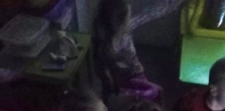 Suona la sirena, i bimbi di Lutsk tra paura e gioco