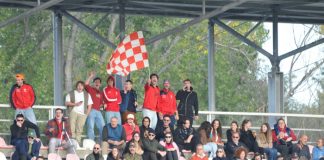 Rugby Mantova, tutto pronto per la seconda fase del campionato