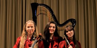 Suzzara, sabato il primo appuntamento della rassegna “Note in città”