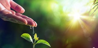 Agricoltura, ok della Camera alle “Tea”, tecniche di miglioramento genetico