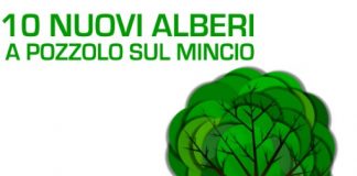 Dieci nuovi alberi lungo il Mincio a Pozzolo, uno nel giardino della scuola materna