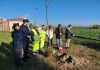 Giornata nazionale dell’albero: alla Scuola Vanoni di Viadana 4 nuove piante