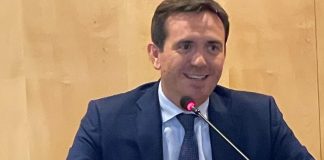 Auto, Cattaneo (Fi): “Transizione non in discussione, serve patto imprese-Stato”