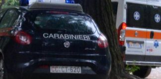 Verona, veterinaria muore schiacciata da una mucca