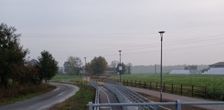 Potature sulla Mantova-Peschiera: tratto Scarpina-Diga di Salionze chiuso dal 21 al 23 febbraio