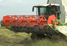 Confai Mantova: nel contoterzismo professionale sul territorio opportunità di lavoro per 100 giovani