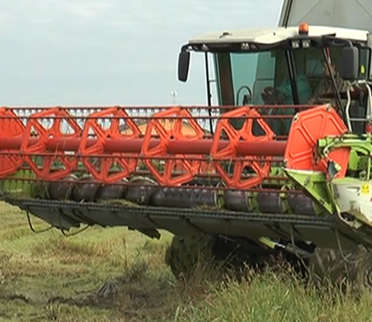 Confai Mantova, al Bovimac convegno sulle “Tecniche applicative per l’agricoltura di precisione”