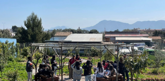 Palermo, una consulta giovanile informale per Cruillas