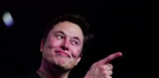 Twitter, ‘autogol’ Elon Musk: aumentano account falsi vip