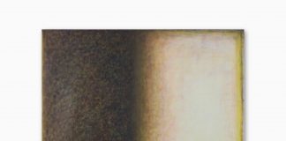 Da domani al Ducale la mostra “Luce Ombra Pittura” di Raffaele Cioffi