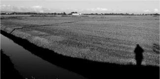 “Fossoldo di Susano” di Enrico Roncaia è la foto vincitrice del concorso fotografico “Campagne”