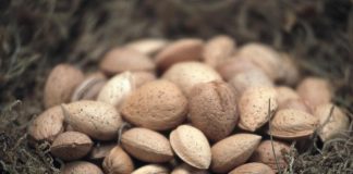 Mandorle alleate del microbiota e del benessere intestinale