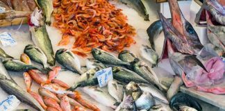 Feste, gli italiani spenderanno 1 mld per pranzi e cene a base di pesce. Consumi a +20%
