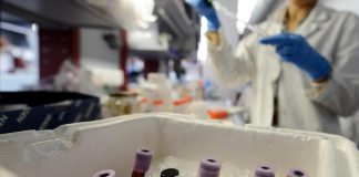 Caccia al patogeno, Oms convoca oltre 300 scienziati