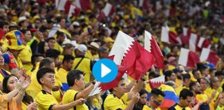 “Vogliamo birra”, il coro dei tifosi in Qatar-Ecuador – Video