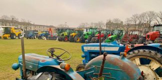 San Martino dall’Argine, tutto pronto per l’antica Fiera: dall’11 al 13 novembre con tante novità