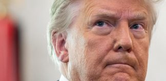 Twitter, Musk: “Trump verrà riammesso”