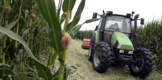 Ismea: “Calo di fiducia degli imprenditori non scoraggia gli investimenti”