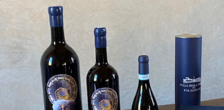 Nasce il vino “Camera dei Giganti”