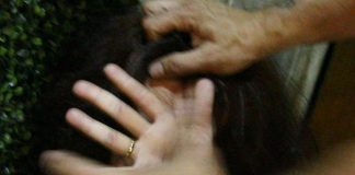 Violenza su donne, oltre 75% subite dal partner o dall’ex