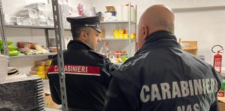 Carenze igieniche e mancate prescrizioni. Multe da 7.000 euro per due ristoranti di Porto Mantovano