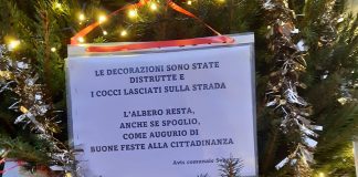 A Suzzara i vandali distruggono le decorazioni dell’abete natalizio offerto dall’Avis