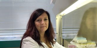 Glioblastoma, Neuromed studia Ginko biloba per potenziare chemioterapici