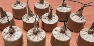 In casa nascondeva un arsenale con oltre 300 bombe carta, arrestato