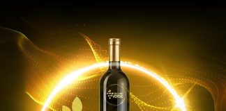 Vino: arriva CellarVerse, prima startup che lancia gratuitamente nel metaverso le cantine