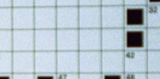 Cruciverba ricorda una svastica, bufera social sul New York Times
