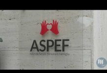 Aspef, il bilancio torna in pareggio: niente aumenti delle rette per tre anni. Utile delle farmacie di 255 mila euro