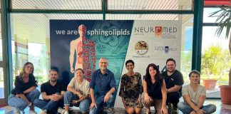 Malattia di Huntington, studio Neuromed su farmaco contro neurodegenerazione