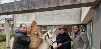 Nelle scuole di Suzzara è arrivato l’asinello di Santa Lucia