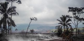 Terremoto, scossa di magnitudo 5.8 in Indonesia