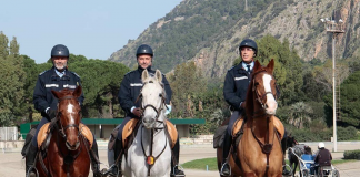 Palermo, all’ippodromo sabato di corse e spettacoli