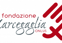 Online il primo bilancio sociale della Fondazione