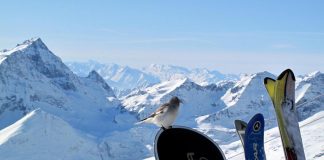 Altroconsumo: “Prezzi skipass in salita sulle piste italiane”
