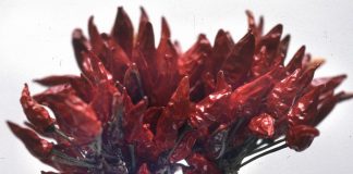 Boom del peperoncino calabrese