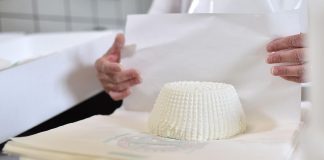 Ricotta di bufala campana Dop, via libera dall’Ue al nuovo disciplinare