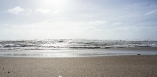 Spiagge, Santanchè: “Assegnare le ‘libere’ per stop tossicodipendenti e rifiuti”