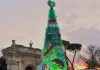 Natale, al Bioparco di Roma un albero eco-sostenibile. Palanza: “Vogliamo sensibilizzare tutti”