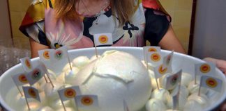 Mozzarella Bufala Campana Dop, vola export in congiuntura difficile