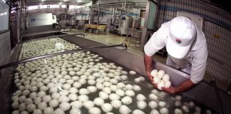 Mozzarella Bufala Campana Dop più acquistata a Nord-Ovest, all’estero in Francia