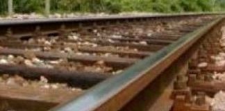 Raddoppio Mantova-Cremona, Europa Verde: “Troppi 2 anni senza treni”