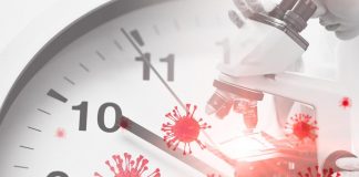 Covid, variante Kraken rischio per Italia? Cosa dicono esperti
