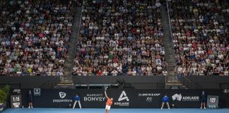 Atp Adelaide, Djokovic in finale: battuto Medvedev