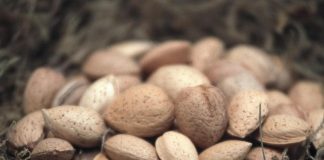 Mandorle snack ideale per chi pratica sport, lo studio