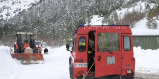 Arezzo, allevatrice di cani trovata morta nella neve