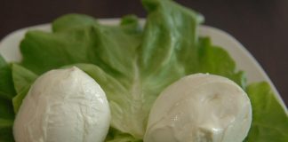Mozzarella Bufala Campana formaggio Dop che cresce di più 2016-2022, +26%