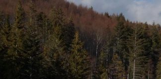 Abruzzo senza neve, crollo prenotazioni a Natale: allarme degli albergatori